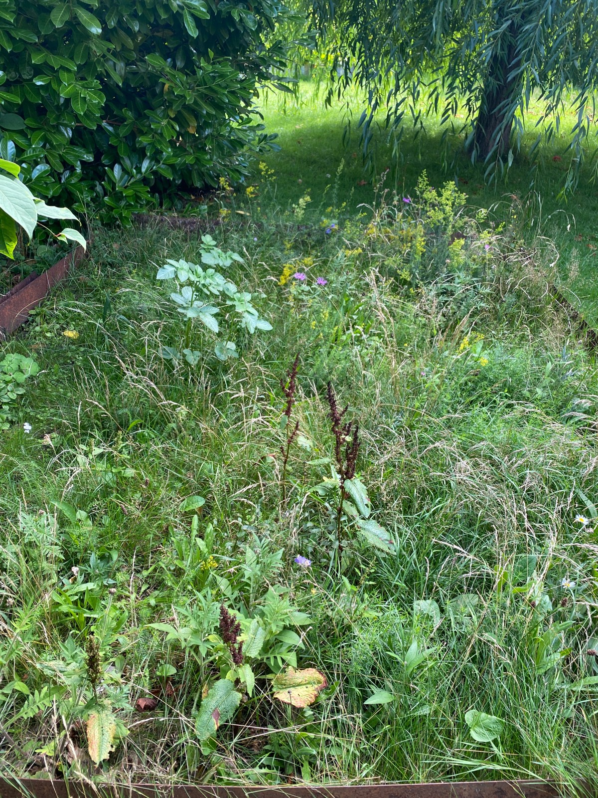 Den andre varje månad:&nbsp;Tiden